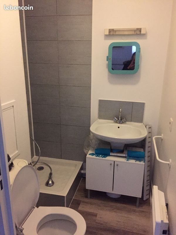 Appartement à louer, 15m², Lille