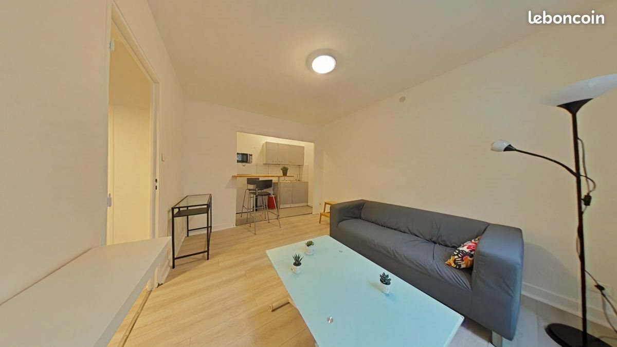 Appartement à louer, 37m², Saint-Etienne