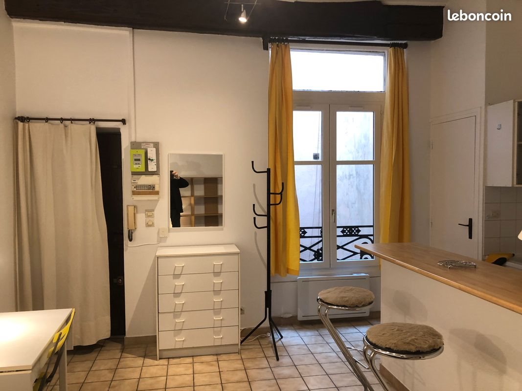 Appartement à louer, 22m², Lyon 1er