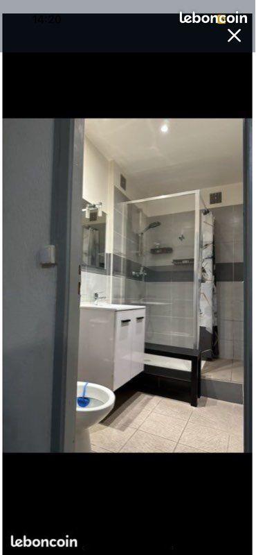 Appartement à louer, 37m², Saint-Etienne