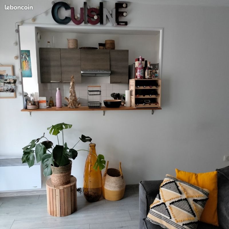 Appartement à louer, 46m², Angers