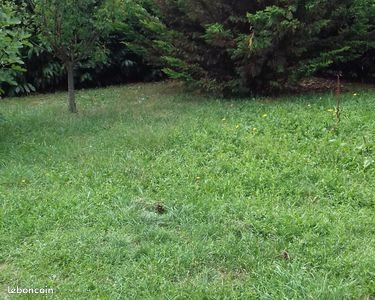 Appartement à louer, 45m², Saint-Egrève