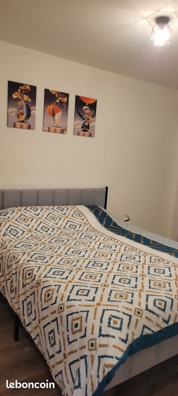 Appartement à louer, 45m², Thonon-les-Bains