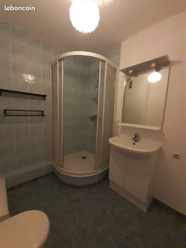 Appartement à louer, 43m², Panazol