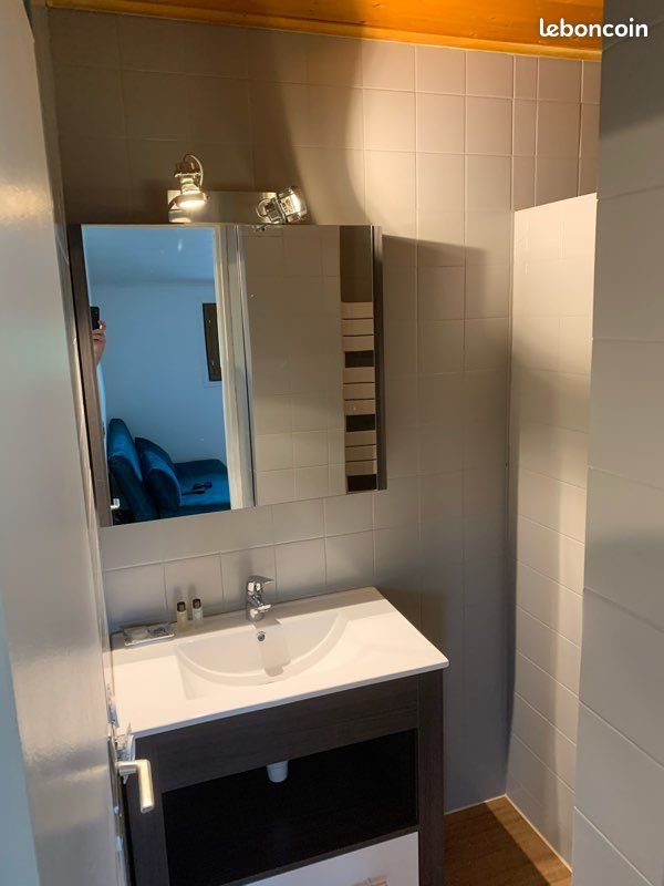 Appartement à louer, 22m², Cognin