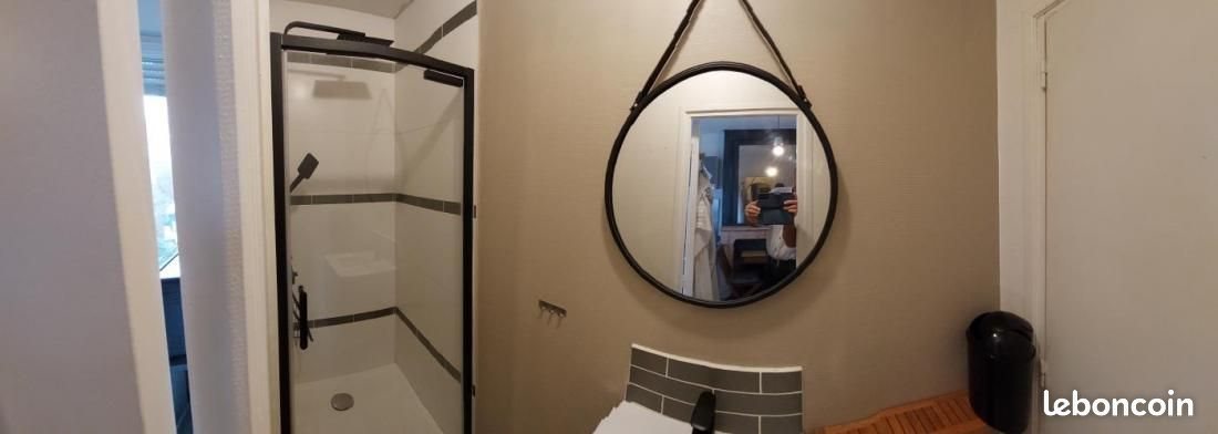 Appartement à louer, 31m², Lille