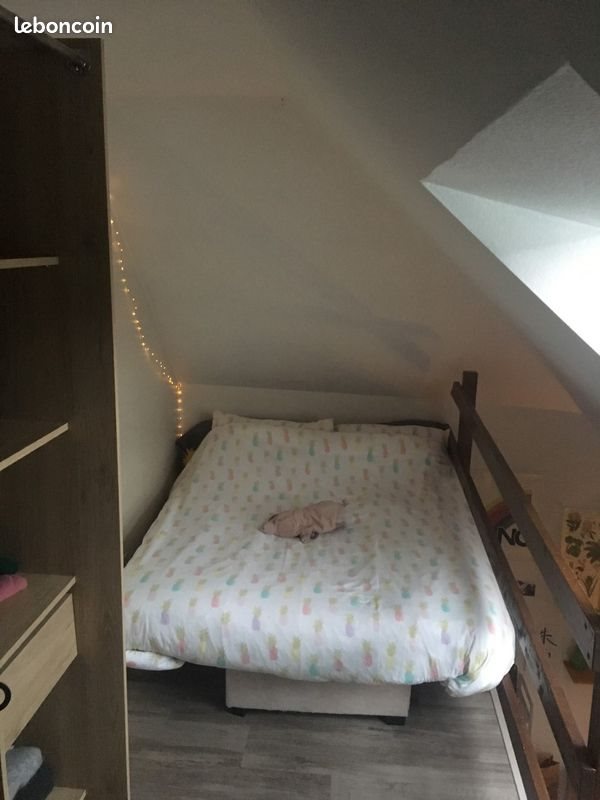 Appartement à louer, 21m², Angers