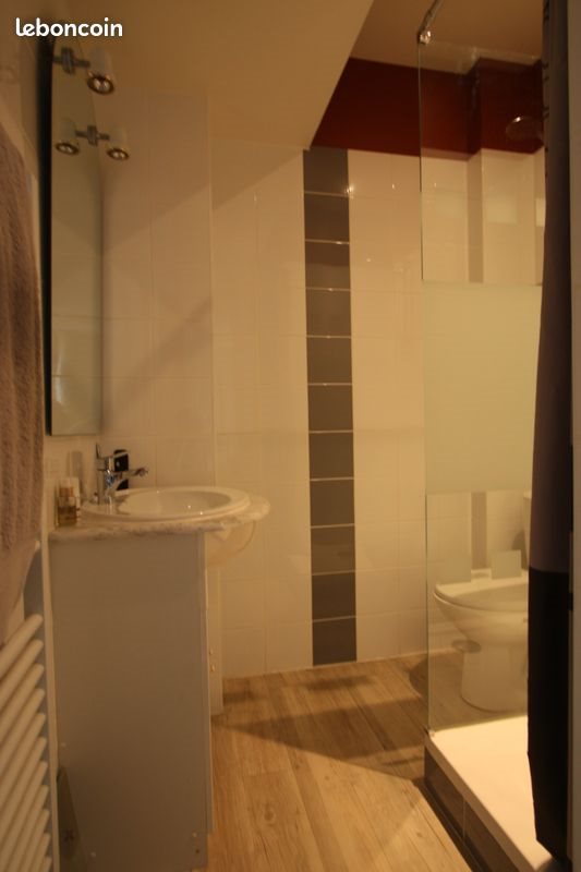 Appartement à vendre, 43m², Saint-Etienne