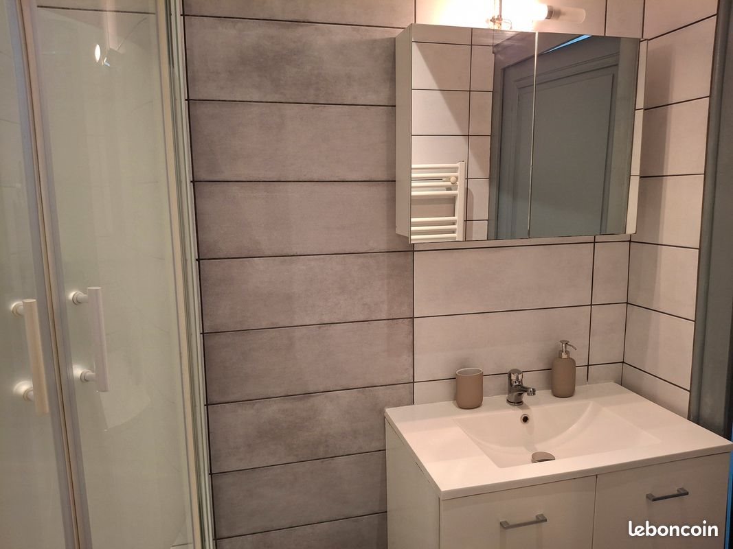 Appartement à louer, 30m², Saint-Etienne