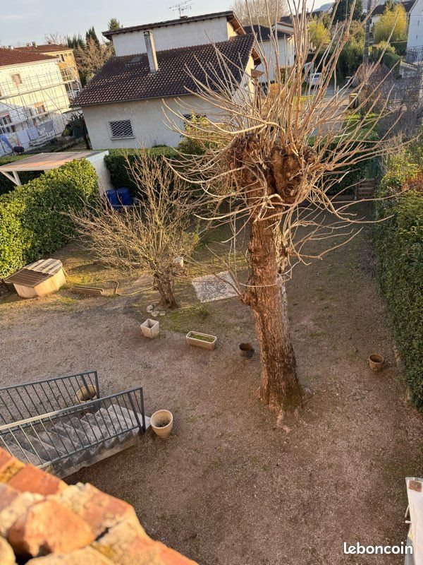 Appartement à louer, 60m², Albi