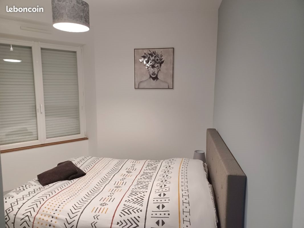 Appartement à louer, 50m², Le Mans