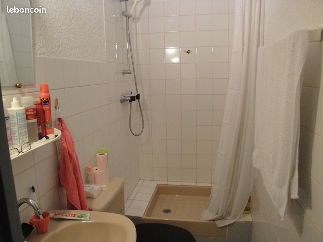 Appartement à louer, 22m², Saint-Etienne