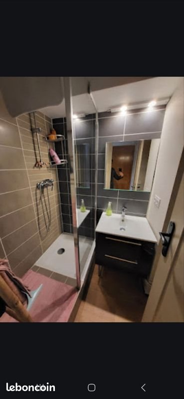 Appartement à vendre, 25m², Saint-Etienne