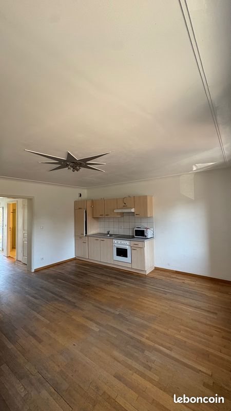 Appartement à louer, 50m², Herbitzheim