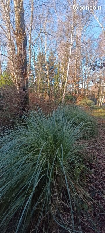 Maison à vendre, 71m², Montchevrier