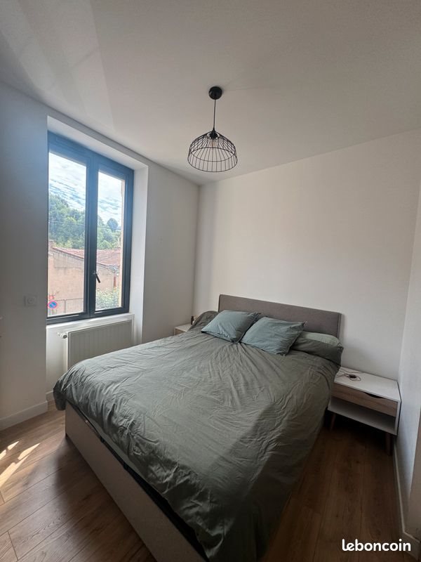 Appartement à vendre, 45m², Saint-Etienne