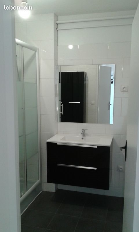 Appartement à louer, 48m², Angers