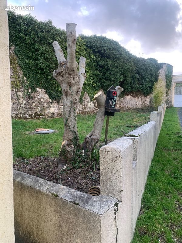 Maison à louer, 56m², Chenac-Saint-Seurin-d'Uzet