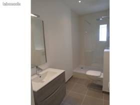 Appartement à louer, 44m², Lyon 7ème