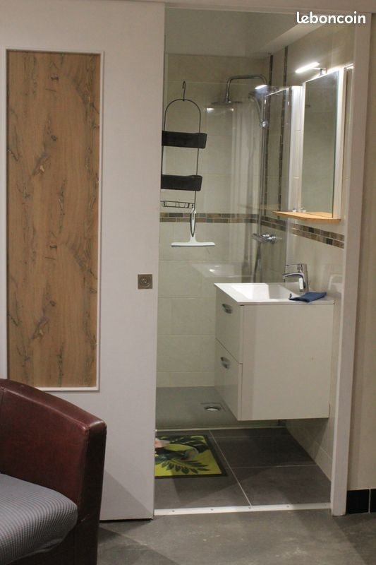 Appartement à louer, 38m², Cusset