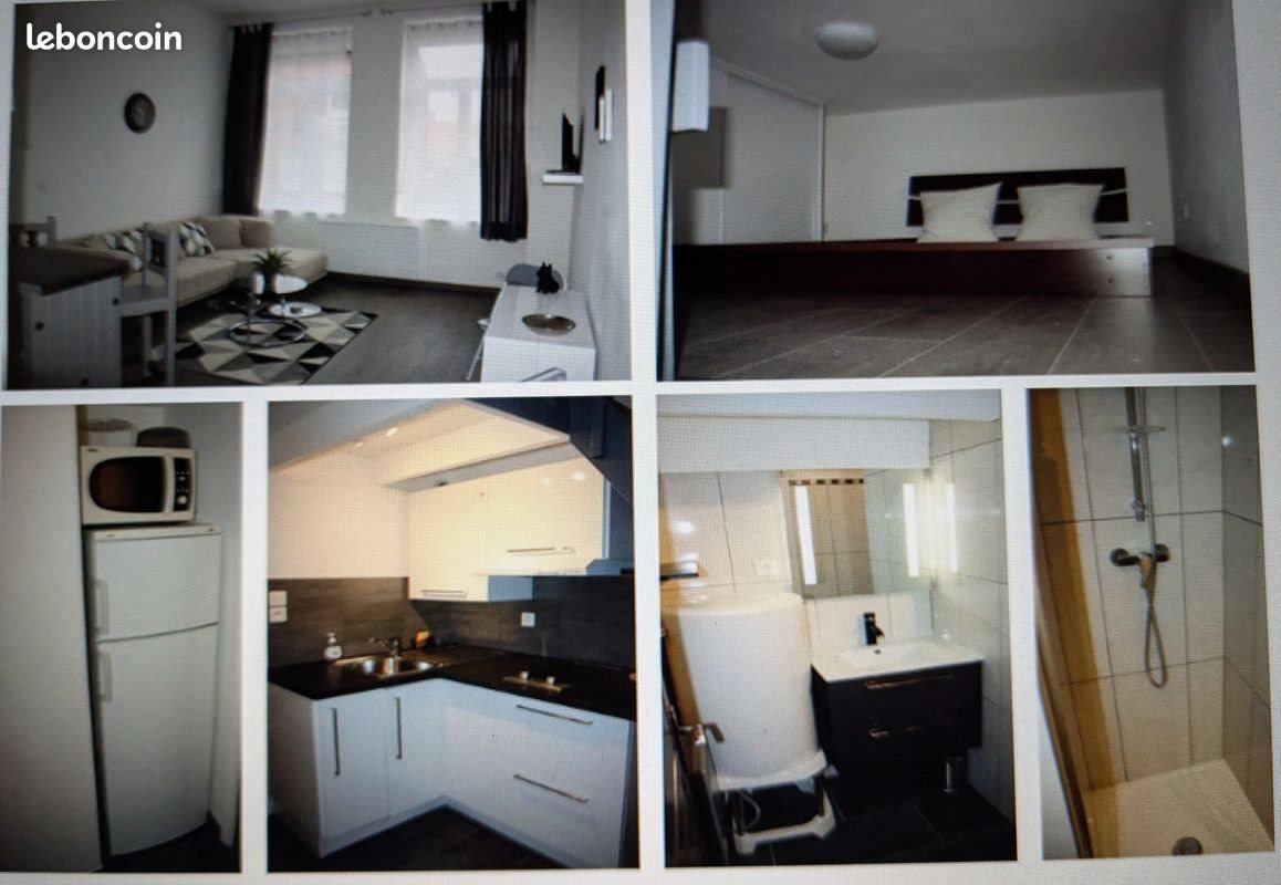 Appartement à louer, 31m², Lille
