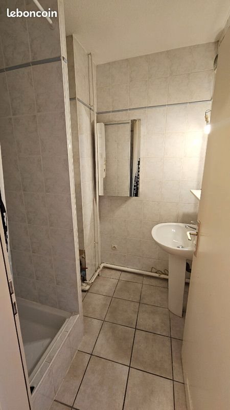 Appartement à louer, 45m², Ensisheim