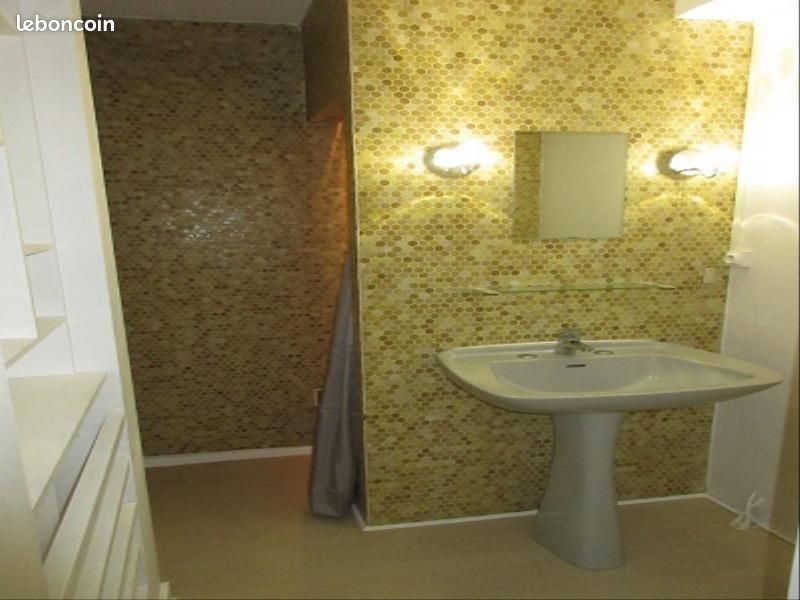 Appartement à louer, 38m², Saint-Etienne