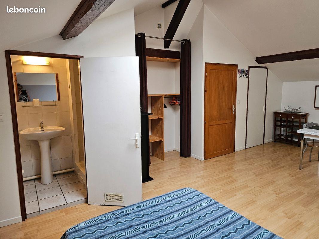 Appartement à louer, 30m², Roche-la-Molière