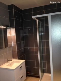 Appartement à louer, 38m², Saint-Etienne