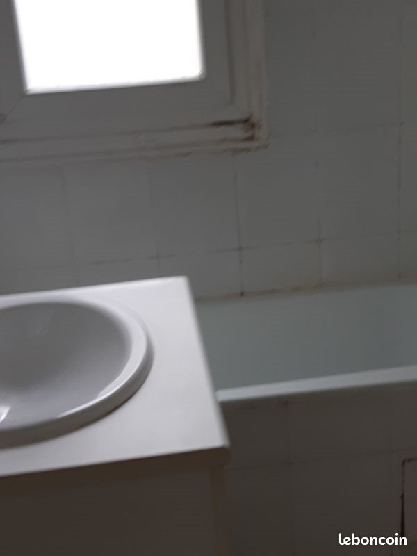 Appartement à louer, 49m², Grenoble