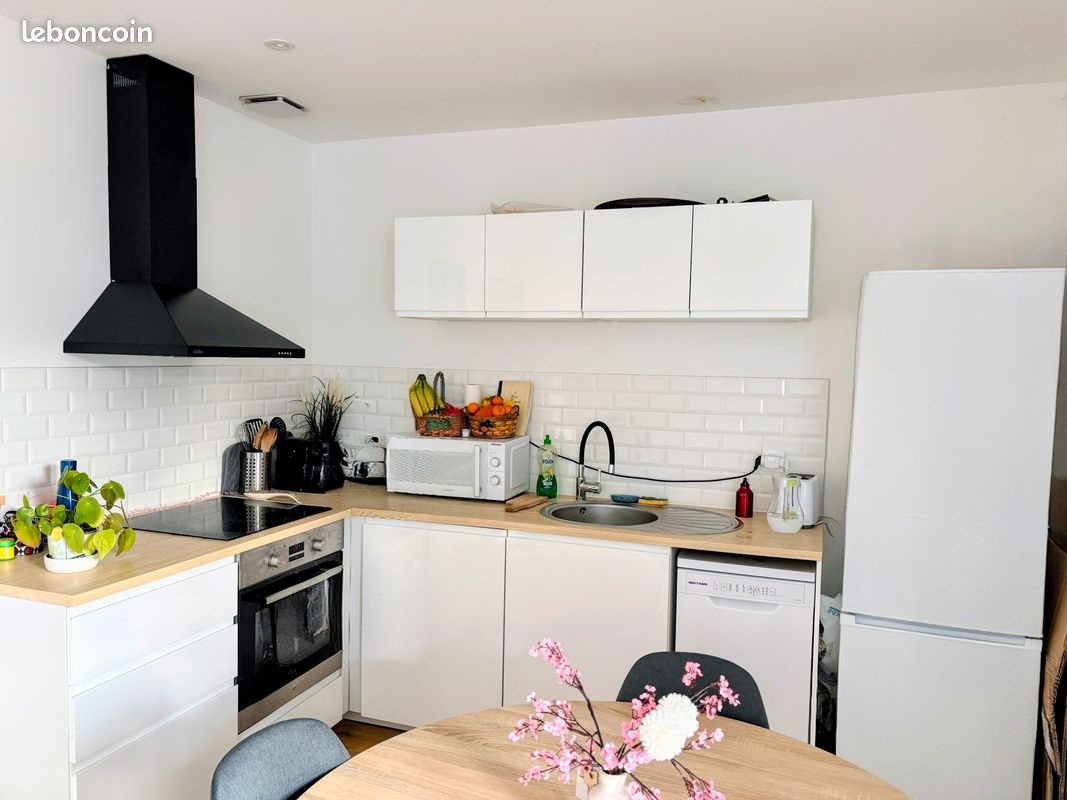 Appartement à louer, 43m², Saint-Etienne