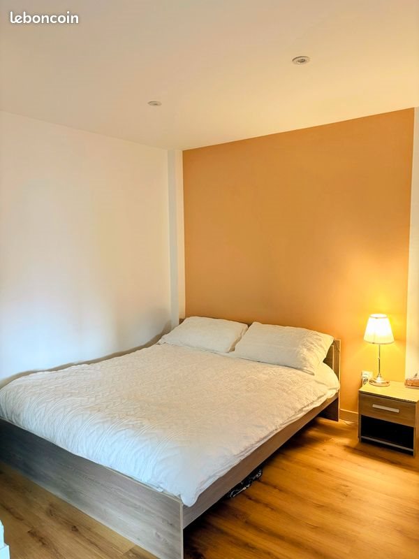 Appartement à louer, 43m², Saint-Etienne