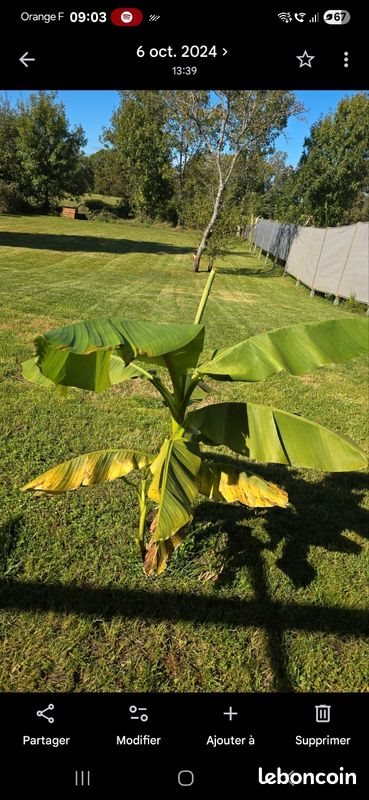 Maison à louer, 100m², La Côte
