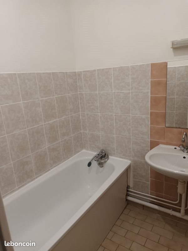 Appartement à louer, 43m², Orléans