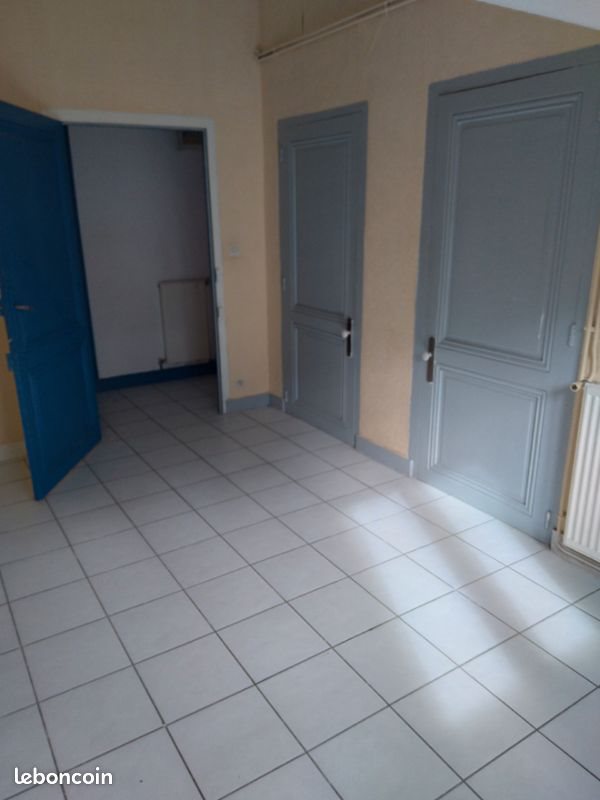 Appartement à louer, 56m², Saint-Etienne