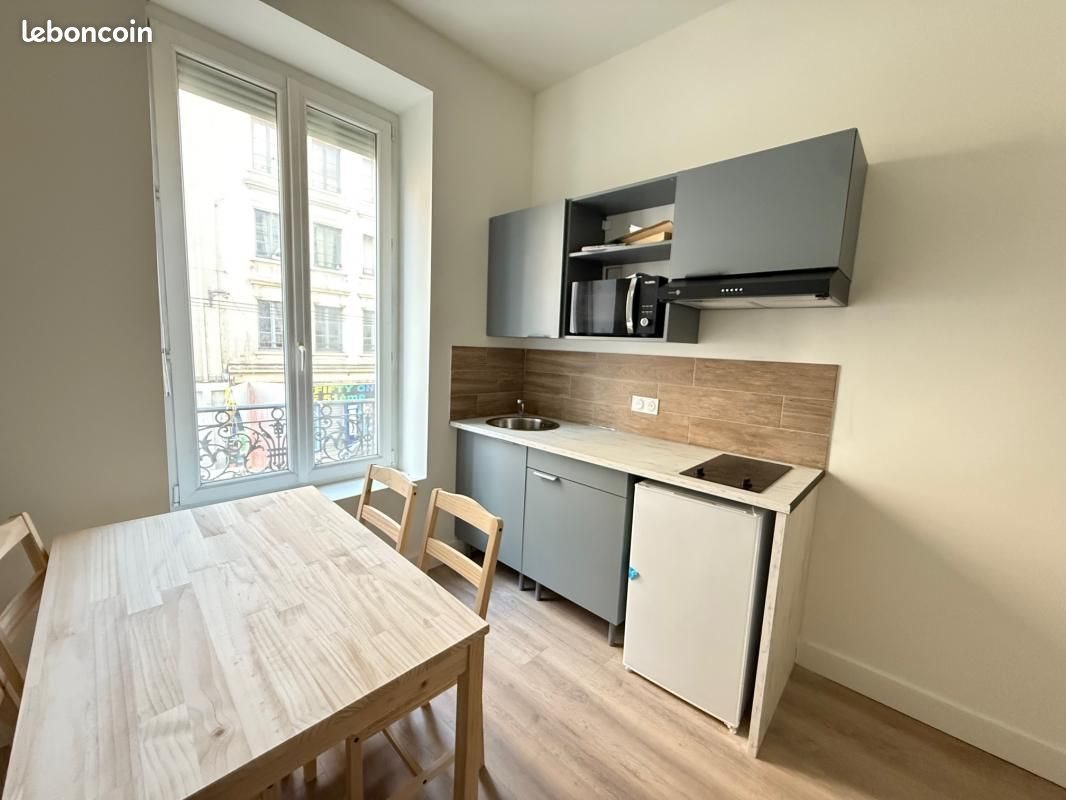 Appartement à louer, 35m², Saint-Etienne