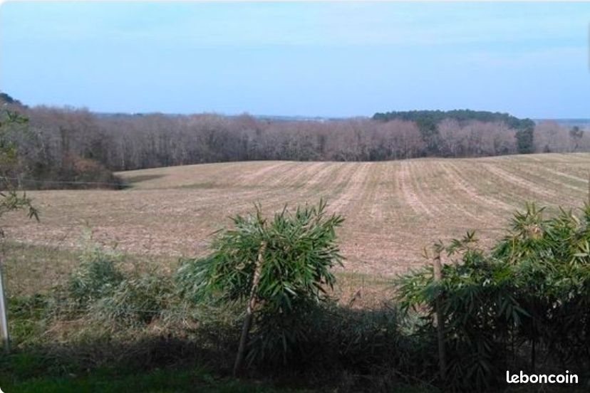 Appartement à louer, 36m², Saint-André-de-Seignanx