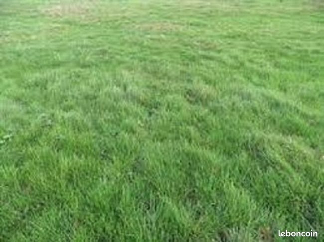 Maison à vendre, 89m², Viry-Châtillon