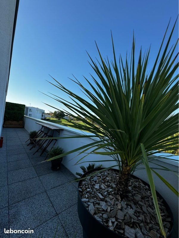 Appartement à vendre, 41m², Saint-Xandre