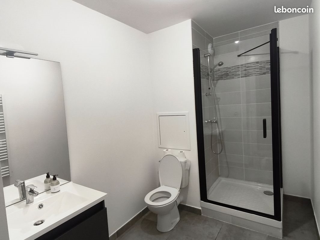 Appartement à louer, 47m², Lille