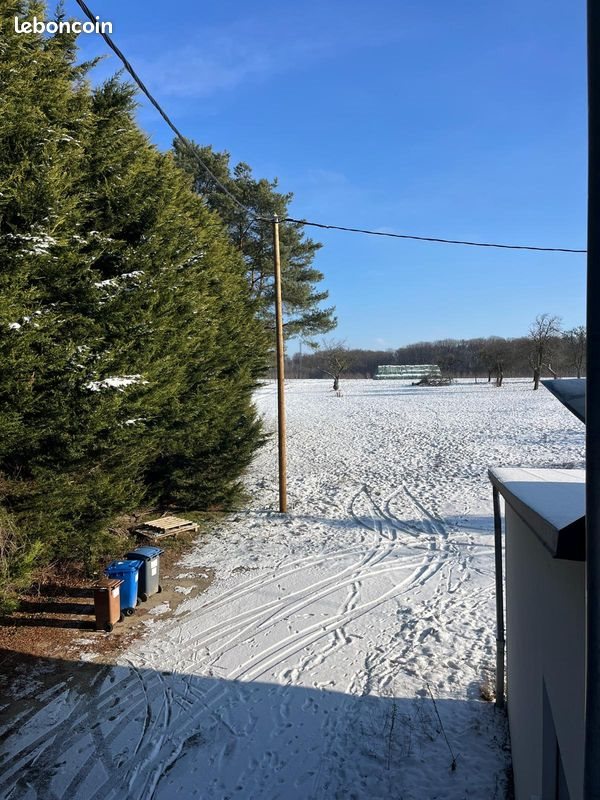 Appartement à louer, 30m², Drachenbronn-Birlenbach