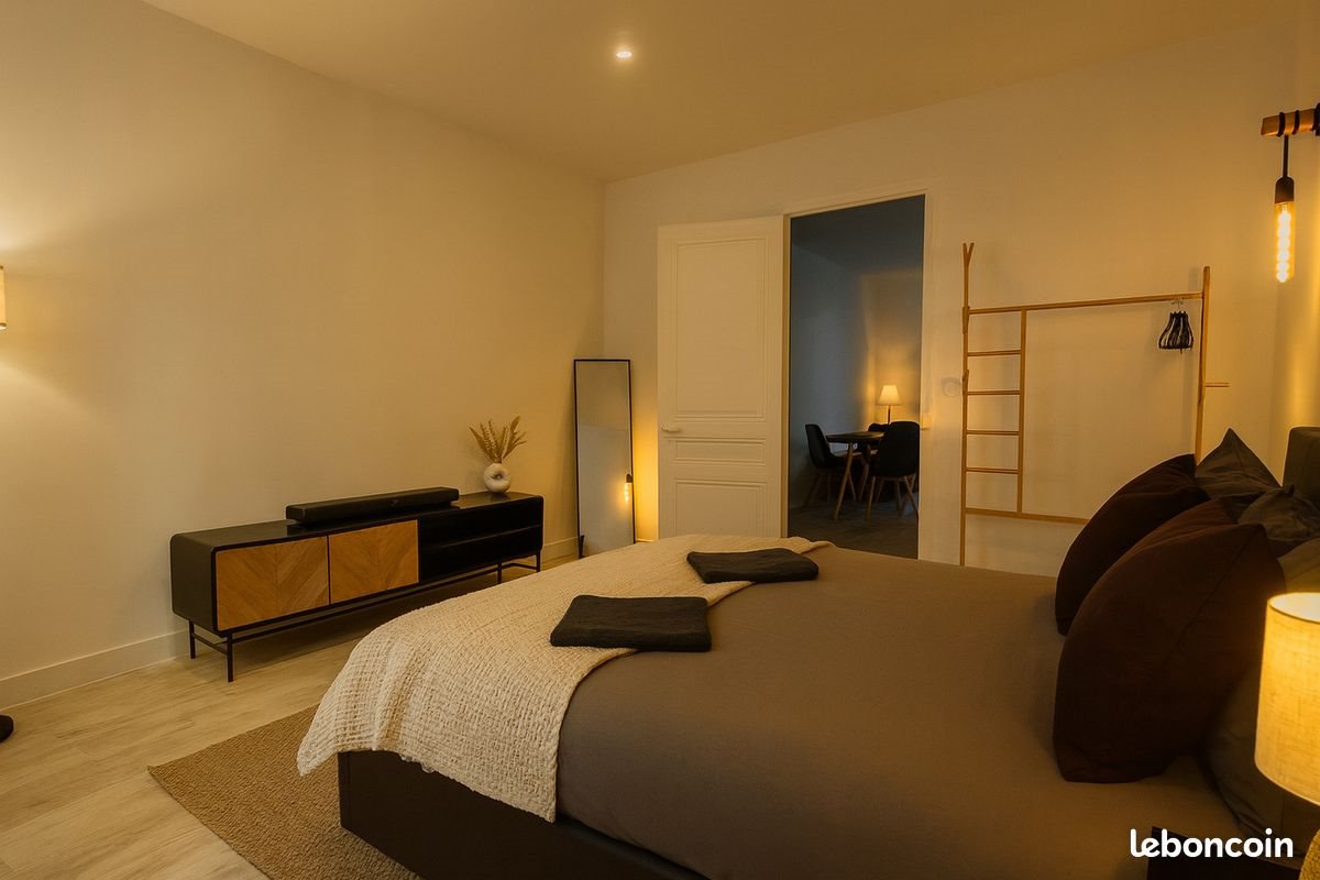 Appartement à louer, 54m², Saint-Etienne