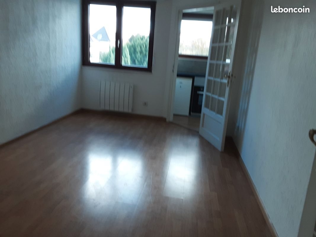 Appartement à louer, 38m², Strasbourg