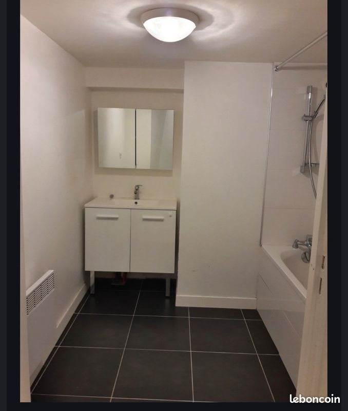 Appartement à louer, 32m², Lille