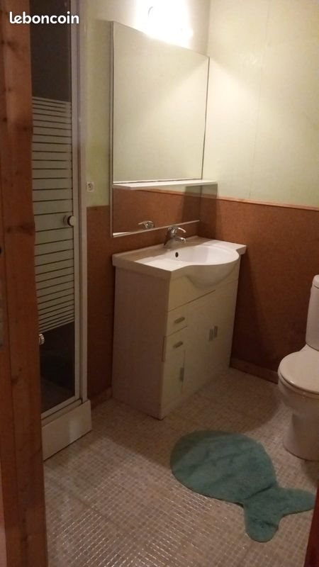 Appartement à louer, 35m², Thônes