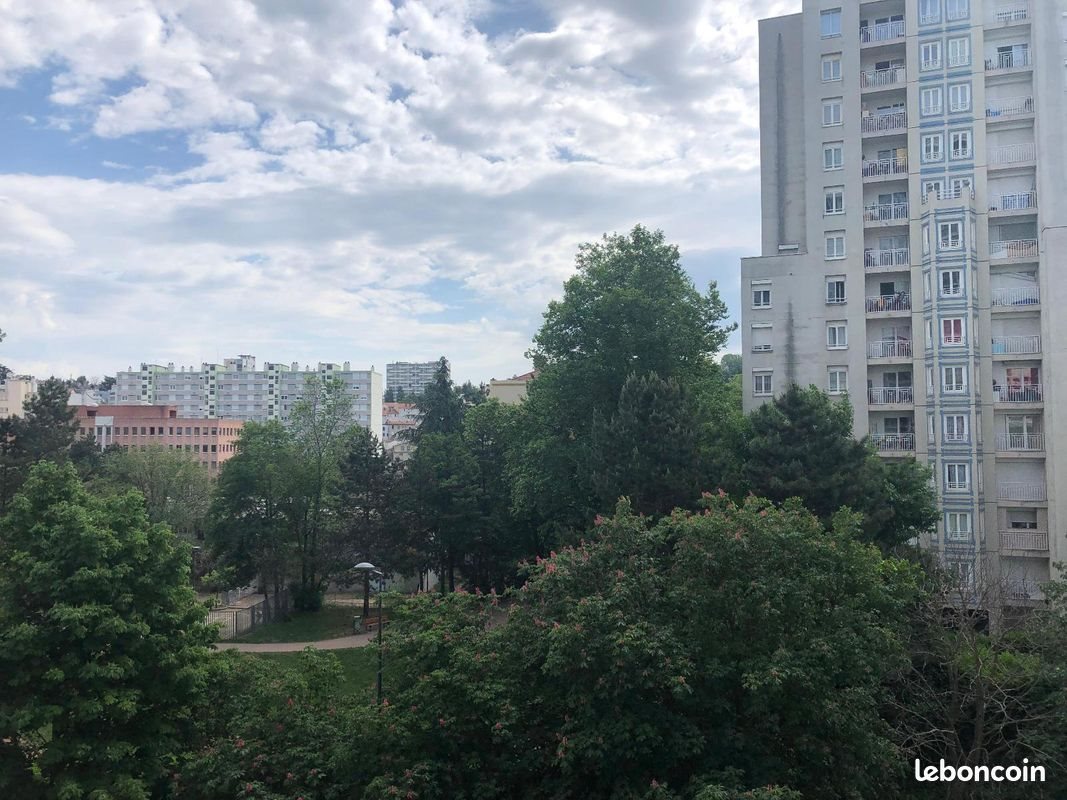 Appartement à louer, 52m², Saint-Etienne