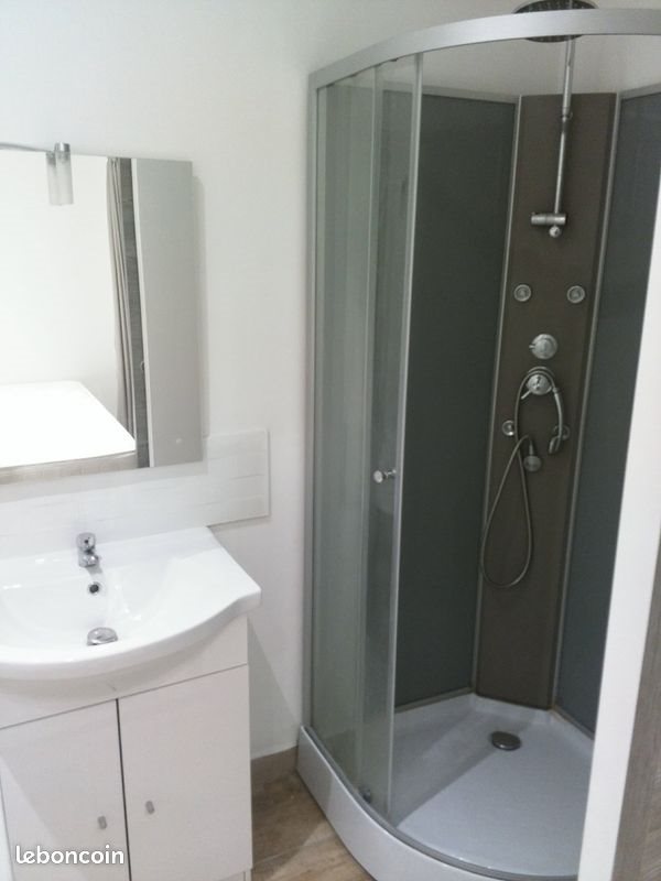 Appartement à louer, 21m², Saint-Etienne