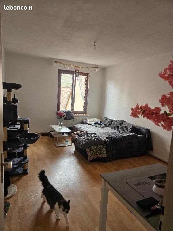 Appartement à louer, 75m², Pfaffenheim