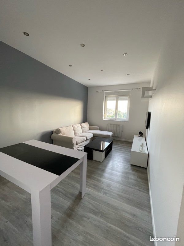 Appartement à louer, 38m², Saint-Genest-Lerpt