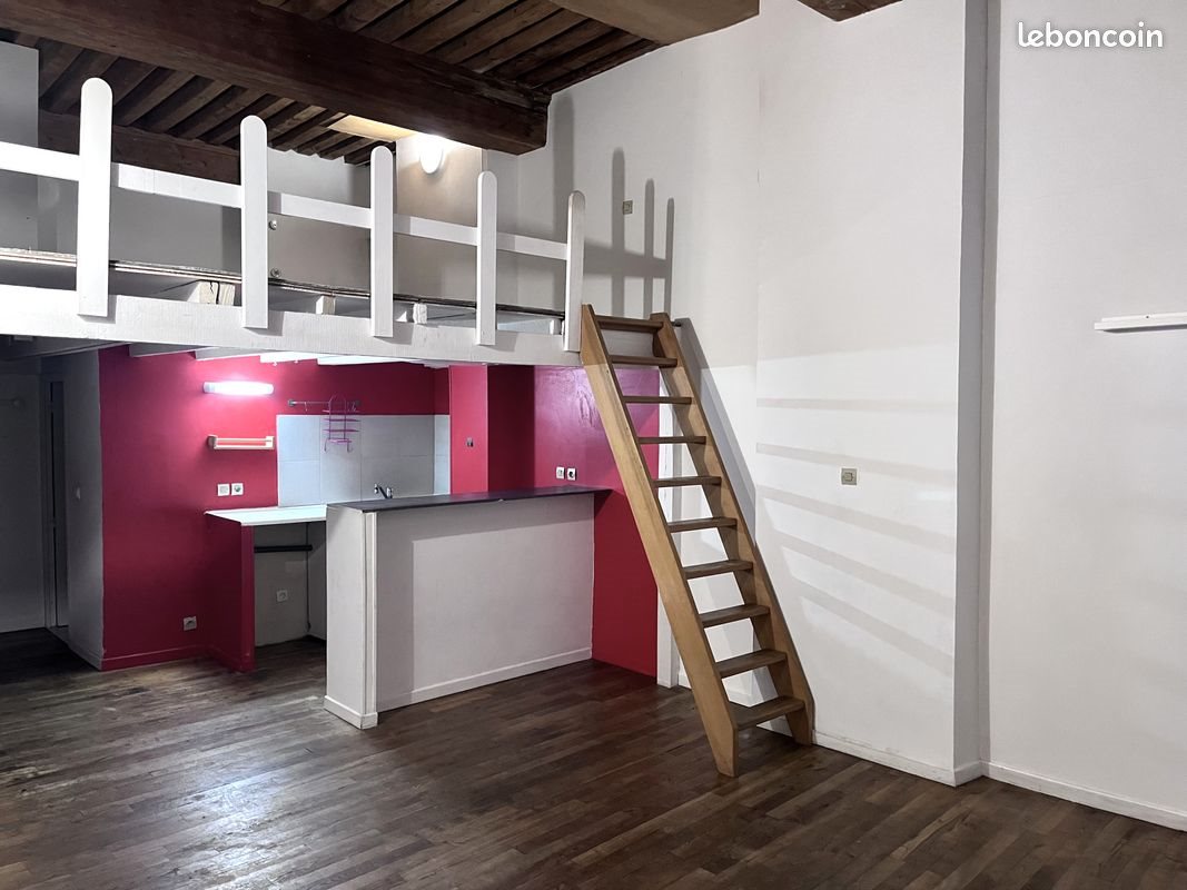 Appartement à vendre, 30m², Lyon 1er